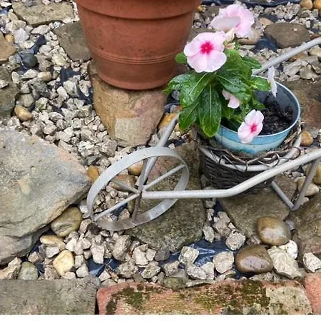 Eszter Vendeghaz * Pacsa