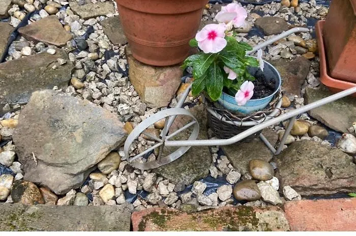 Eszter Vendeghaz * Pacsa